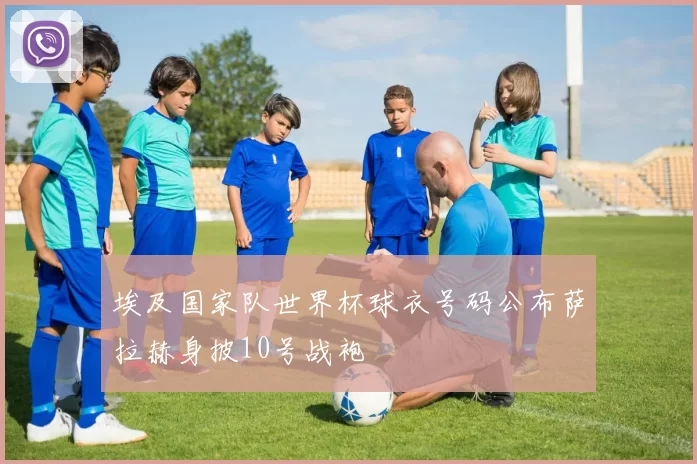 埃及国家队世界杯球衣号码公布萨拉赫身披10号战袍