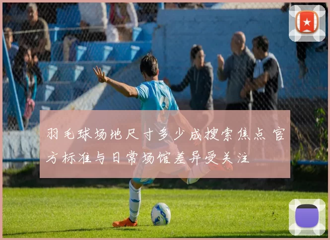 羽毛球场地尺寸多少成搜索焦点 官方标准与日常场馆差异受关注